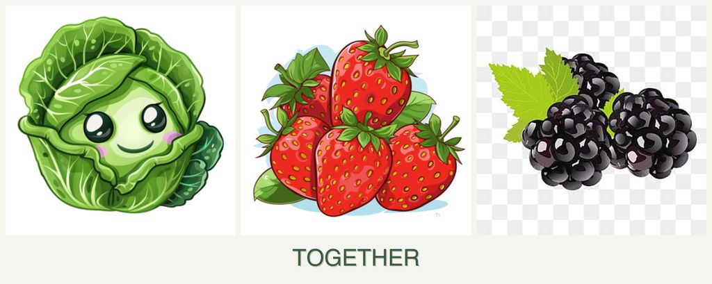Can you plant cabbage, strawberries and blackberries together?