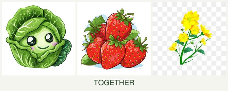 Can you plant cabbage, strawberries and calendula together?