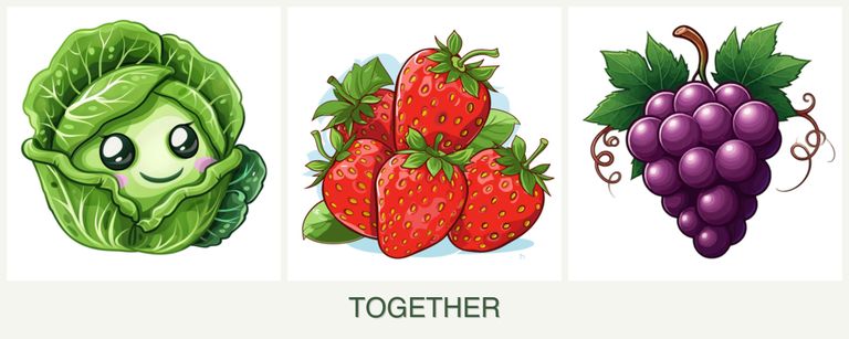 Can you plant cabbage, strawberries and grapes together?