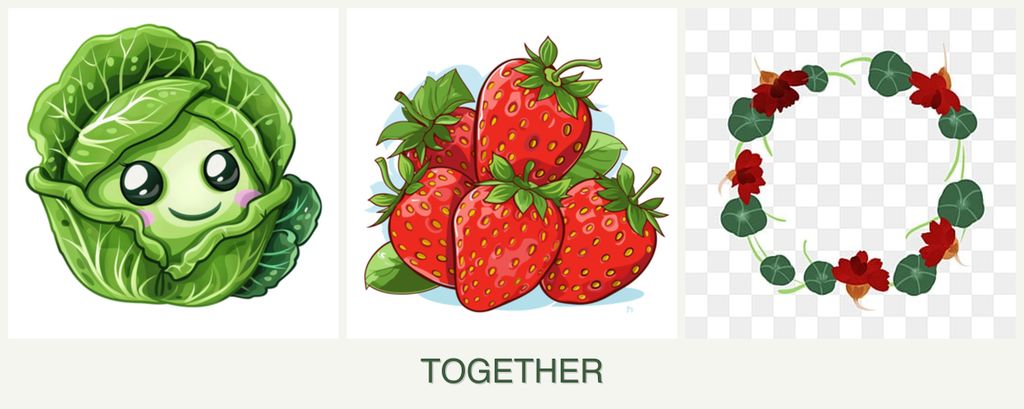 Can you plant cabbage, strawberries and nasturtiums together?