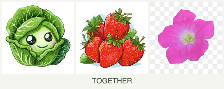 Can you plant cabbage, strawberries and petunias together?