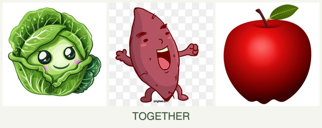 Can you plant cabbage, sweet potatoes and apples together?