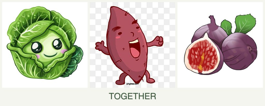 Can you plant cabbage, sweet potatoes and figs together?