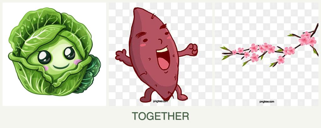 Can you plant cabbage, sweet potatoes and peaches together?