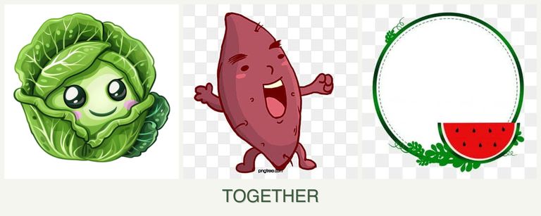 Can you plant cabbage, sweet potatoes and watermelons together?