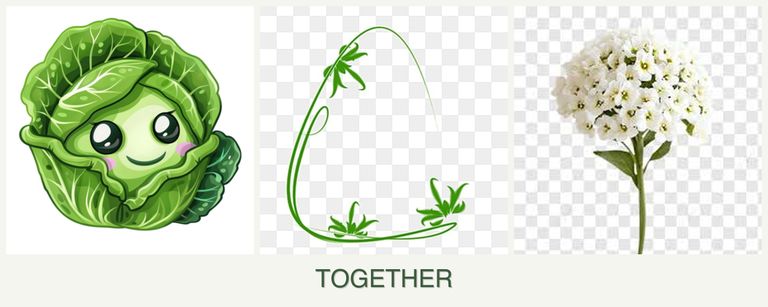 Can you plant cabbage, tarragon and alyssum together?