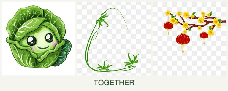 Can you plant cabbage, tarragon and apricots together?