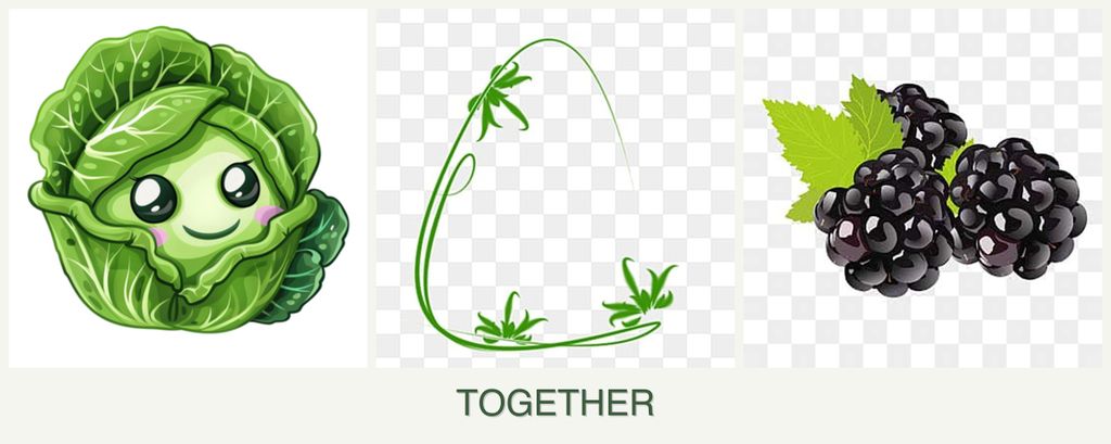 Can you plant cabbage, tarragon and blackberries together?