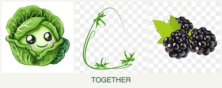Can you plant cabbage, tarragon and blackberries together?