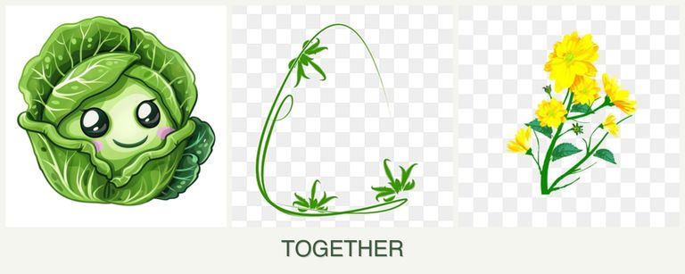 Can you plant cabbage, tarragon and calendula together?