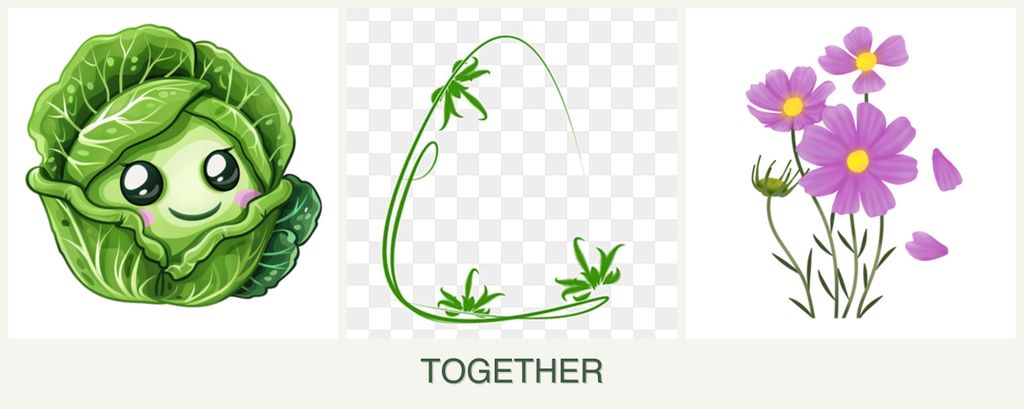 Can you plant cabbage, tarragon and cosmos together?