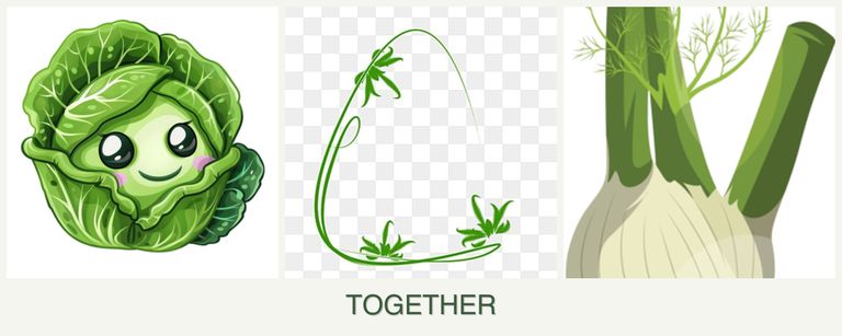 Can you plant cabbage, tarragon and fennel together?
