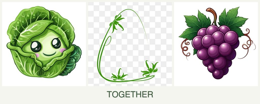 Can you plant cabbage, tarragon and grapes together?