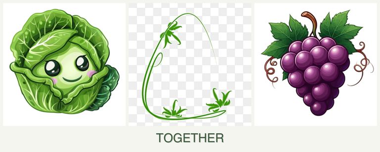 Can you plant cabbage, tarragon and grapes together?
