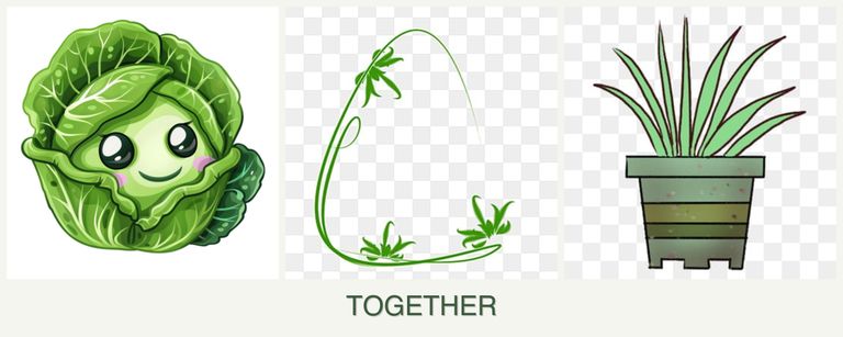 Can you plant cabbage, tarragon and lemongrass together?