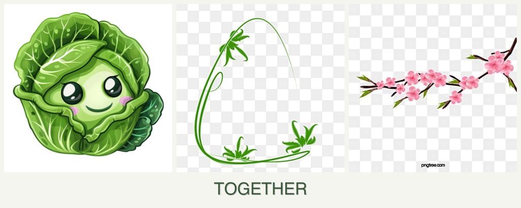 Can you plant cabbage, tarragon and peaches together?