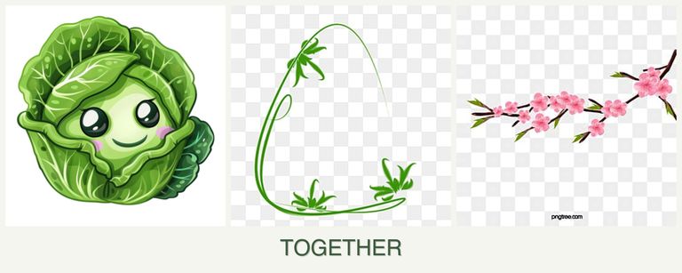 Can you plant cabbage, tarragon and peaches together?