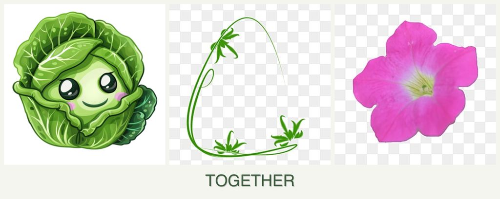 Can you plant cabbage, tarragon and petunias together?