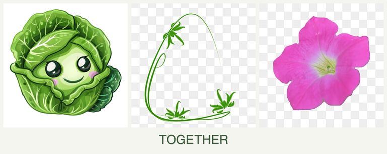 Can you plant cabbage, tarragon and petunias together?