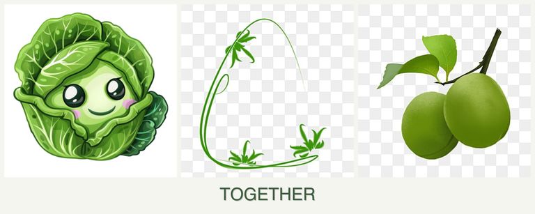 Can you plant cabbage, tarragon and plums together?