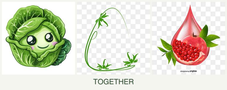 Can you plant cabbage, tarragon and pomegranates together?