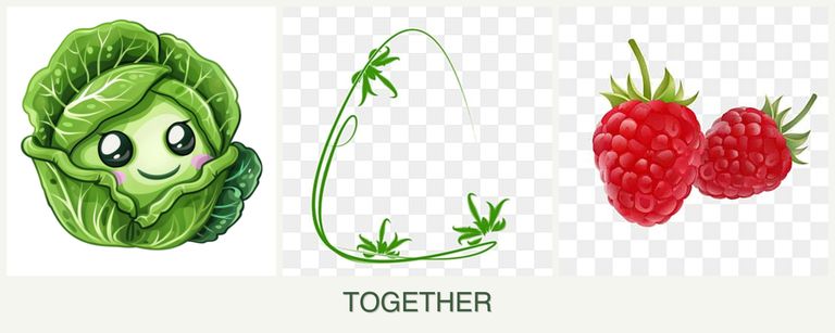 Can you plant cabbage, tarragon and raspberries together?