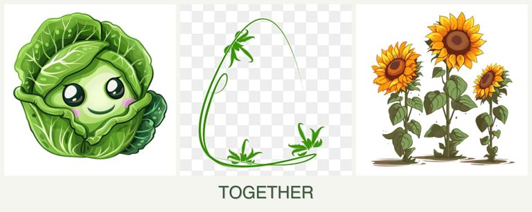 Can you plant cabbage, tarragon and sunflowers together?