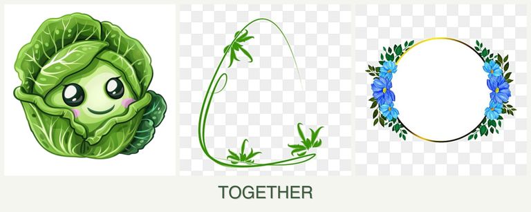 Can you plant cabbage, tarragon and zinnias together?