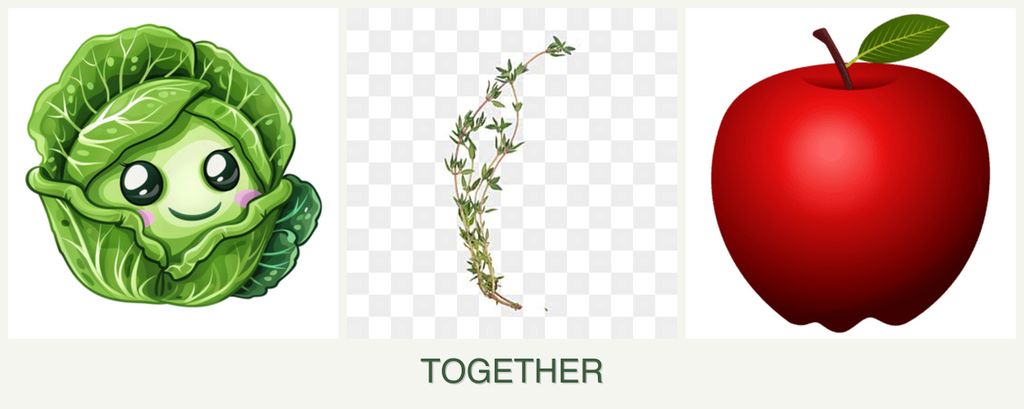 Can you plant cabbage, thyme and apples together?