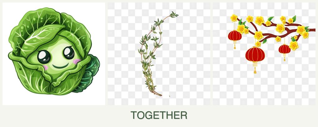 Can you plant cabbage, thyme and apricots together?