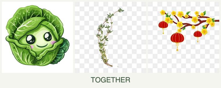 Can you plant cabbage, thyme and apricots together?
