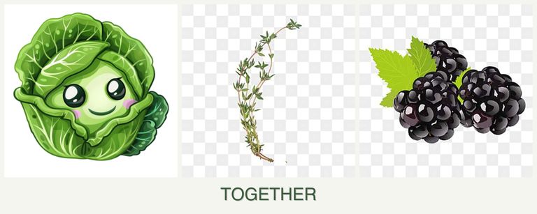Can you plant cabbage, thyme and blackberries together?
