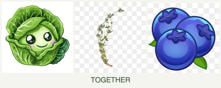 Can you plant cabbage, thyme and blueberries together?