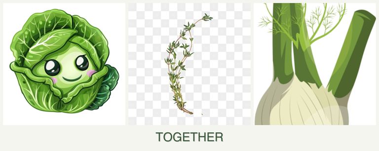 Can you plant cabbage, thyme and fennel together?