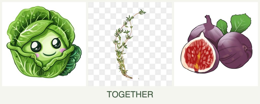 Can you plant cabbage, thyme and figs together?