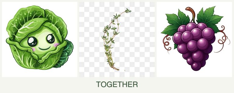 Can you plant cabbage, thyme and grapes together?
