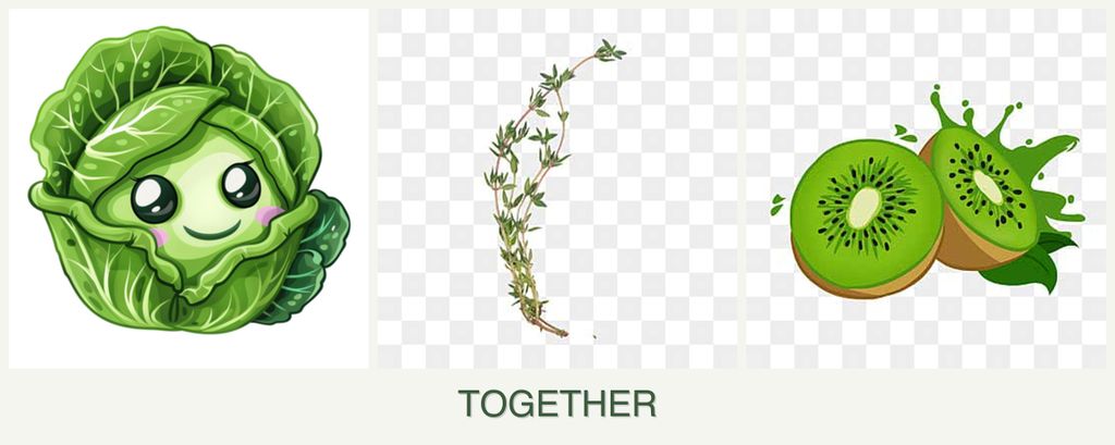 Can you plant cabbage, thyme and kiwi together?