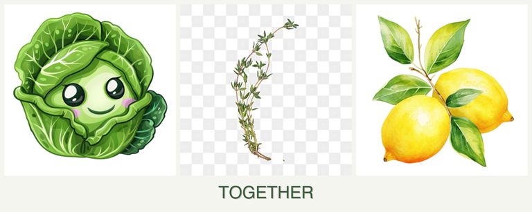 Can you plant cabbage, thyme and lemons together?
