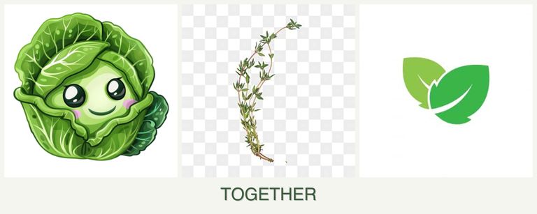 Can you plant cabbage, thyme and mint together?