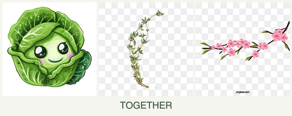 Can you plant cabbage, thyme and peaches together?