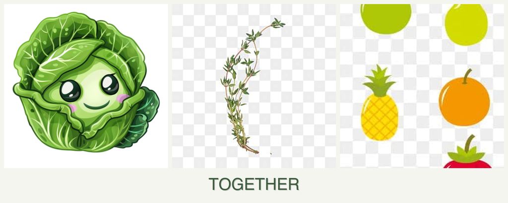 Can you plant cabbage, thyme and pears together?