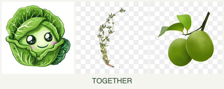 Can you plant cabbage, thyme and plums together?