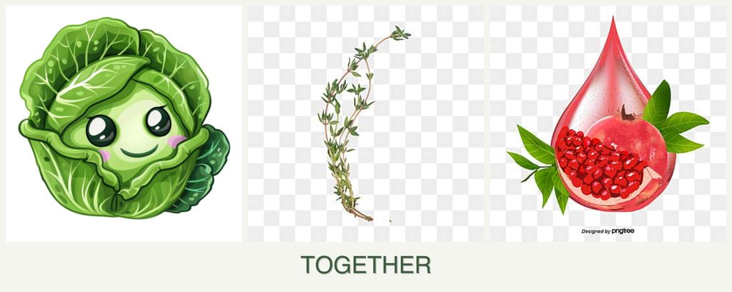 Can you plant cabbage, thyme and pomegranates together?