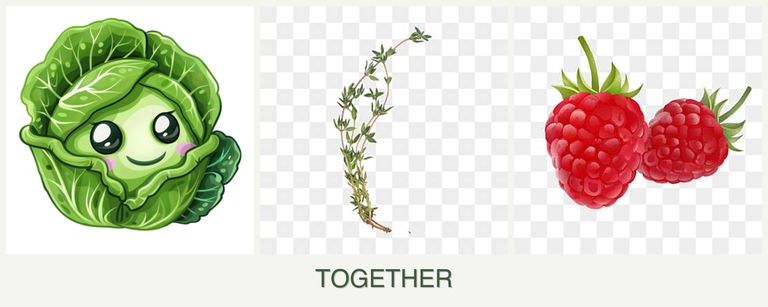 Can you plant cabbage, thyme and raspberries together?