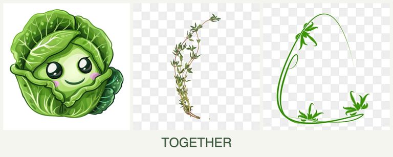 Can you plant cabbage, thyme and tarragon together?