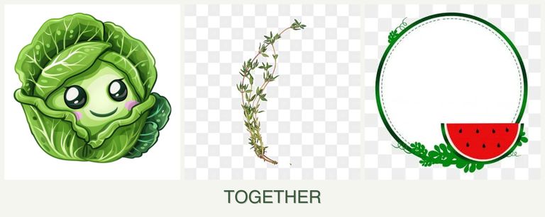 Can you plant cabbage, thyme and watermelons together?