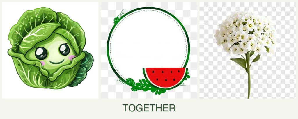 Can you plant cabbage, watermelons and alyssum together?
