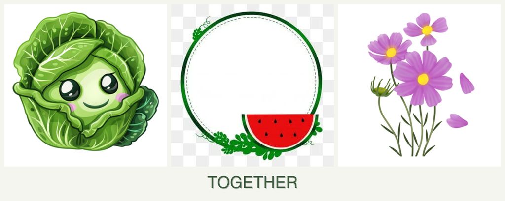 Can you plant cabbage, watermelons and cosmos together?