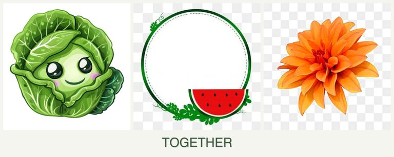 Can you plant cabbage, watermelons and dahlias together?