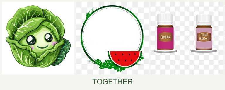 Can you plant cabbage, watermelons and geraniums together?